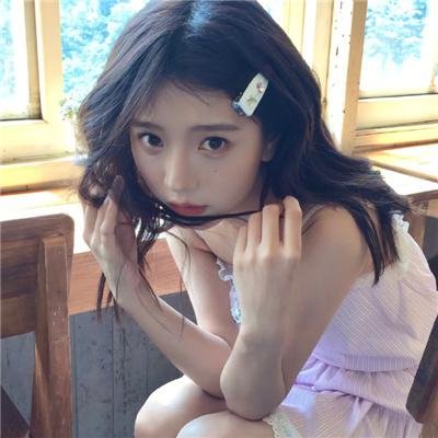 动物频道 高清在线观看封面